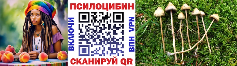 Галлюциногенные грибы мицелий  Коммунар 